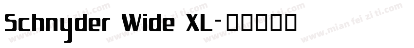 Schnyder Wide XL字体转换